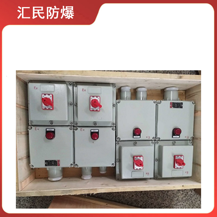 BXMD53防爆检修插座箱 非标定制 安徽丝瓜视频下载安装防爆电气有限公司